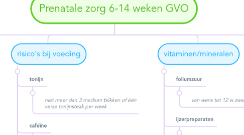 Mind Map: Prenatale zorg 6-14 weken GVO