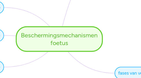 Mind Map: Beschermingsmechanismen foetus