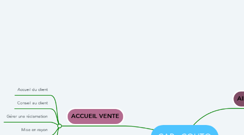 Mind Map: CAPa COUTO