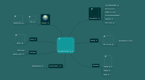 Mind Map: The Giant Panda