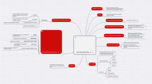 Mind Map: SOCIALIZACIÓN