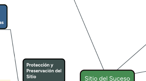 Mind Map: Sitio del Suceso