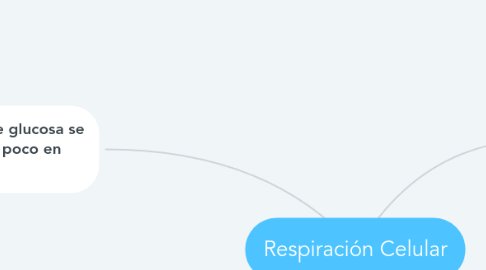 Mind Map: Respiración Celular