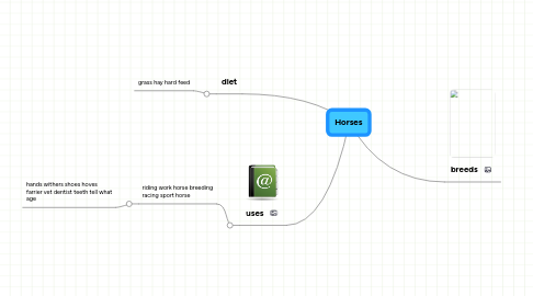 Mind Map: Horses