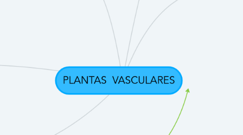 Mind Map: PLANTAS  VASCULARES