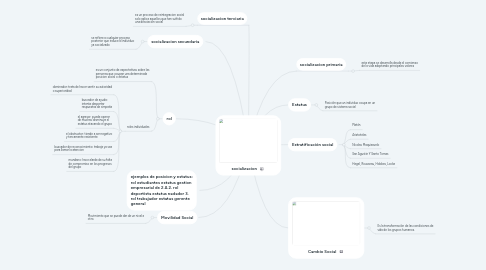 Mind Map: socializacion