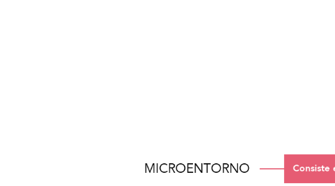 Mind Map: MICROENTORNO