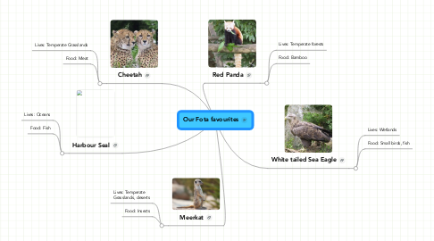 Mind Map: Our Fota favourites