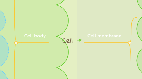 Mind Map: Cell