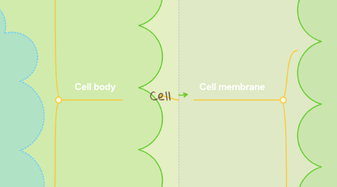 Mind Map: Cell