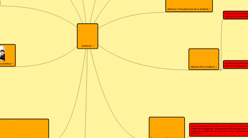 Mind Map: Auditorias