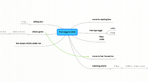 Mind Map: From egg to chick