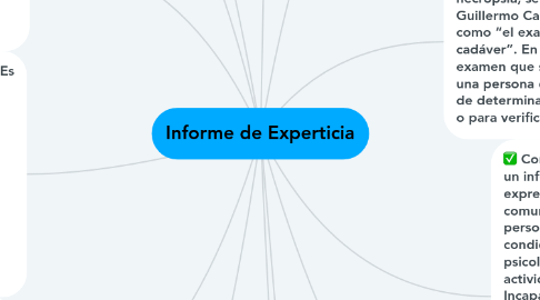 Mind Map: Informe de Experticia