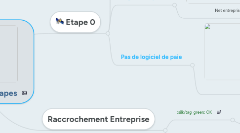 Mind Map: DSN : les différentes étapes