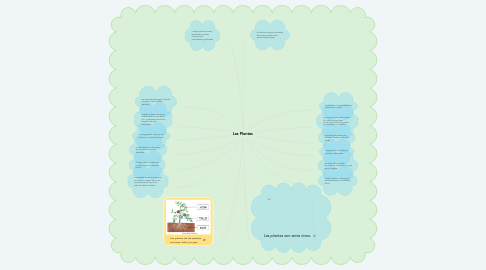 Mind Map: Las Plantas