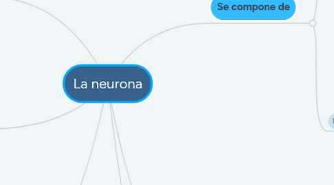 Mind Map: La neurona