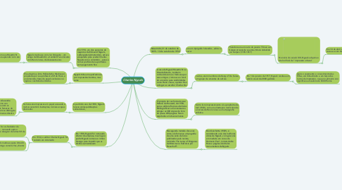 Mind Map: Charles Nypels