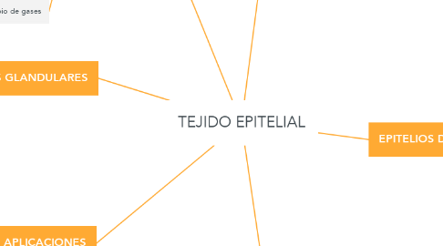 Mind Map: TEJIDO EPITELIAL