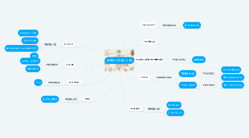 Mind Map: SISTEMA ENDOCRINO