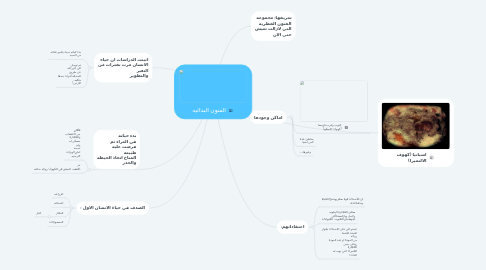 Mind Map: الفنون البدائيه