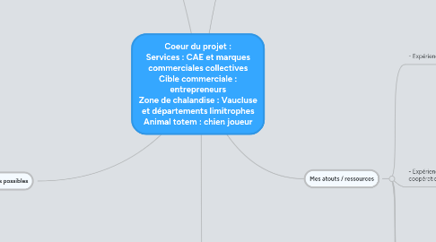 Mind Map: Coeur du projet : Services : CAE et marques commerciales collectives Cible commerciale : entrepreneurs Zone de chalandise : Vaucluse et départements limitrophes Animal totem : chien joueur