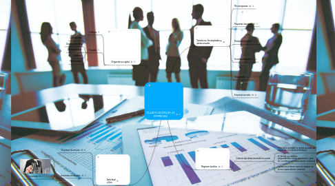 Mind Map: CLASIFICACIÓN DE LA EMPRESAS