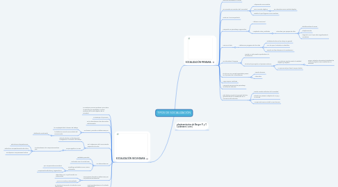 Mind Map: TIPOS DE SOCIALIZACIÓN