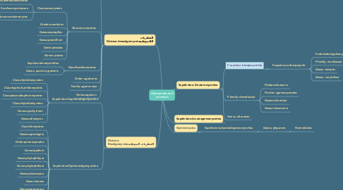 Mind Map: Alexopoulos and mammals