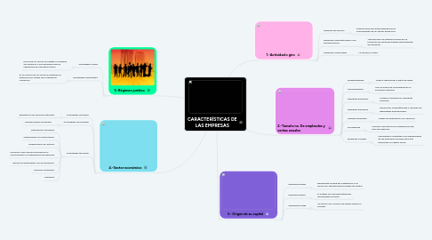 Mind Map: CARACTERÍSTICAS DE LAS EMPRESAS