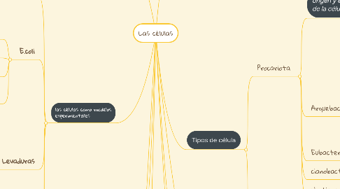 Mind Map: Las células