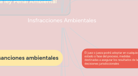 Mind Map: Insfracciones Ambientales