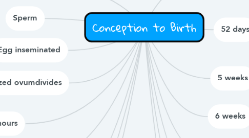 Mind Map: Conception to Birth