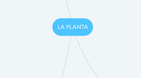 Mind Map: LA PLANTA