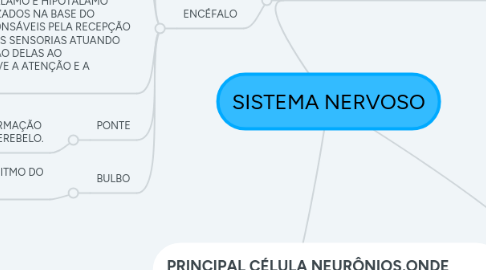 Mind Map: SISTEMA NERVOSO