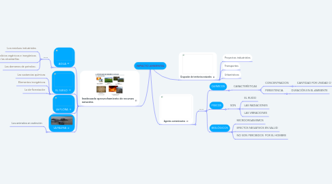 Mind Map: IMPACTO AMBIENTAL