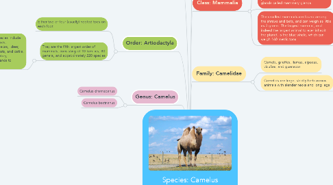 Mind Map: Species: Camelus bactrianus