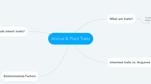 Mind Map: Animal & Plant Traits