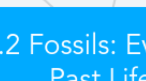 Mind Map: 12.2 Fossils: Evidence of Past Life
