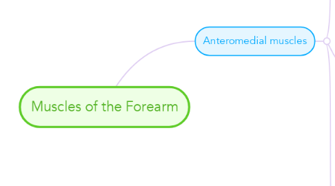 Mind Map: Muscles of the Forearm
