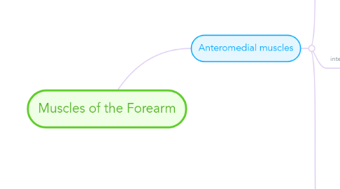 Mind Map: Muscles of the Forearm