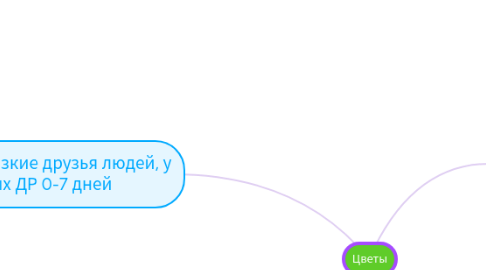 Mind Map: NL GZ