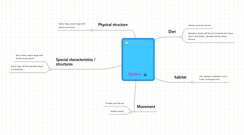 Mind Map: Spiders