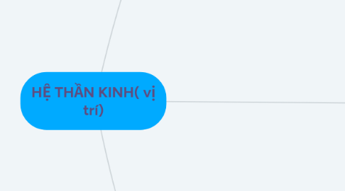 Mind Map: HỆ THẦN KINH( vị trí)