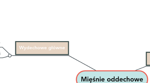 Mind Map: Mięśnie oddechowe