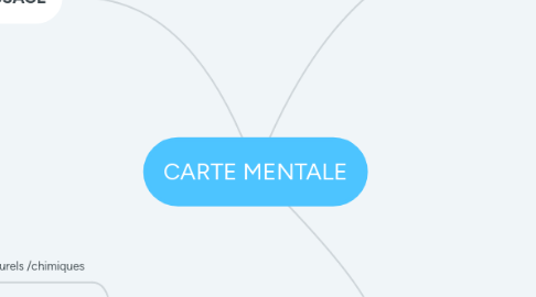 Mind Map: CARTE MENTALE