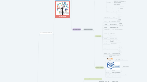 Mind Map: E- Evaluación