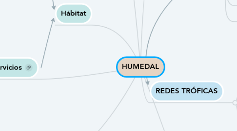 Mind Map: HUMEDAL
