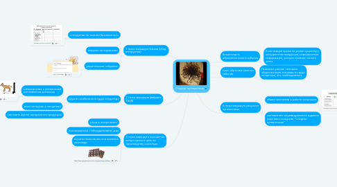 Mind Map: Сладкое путешествие