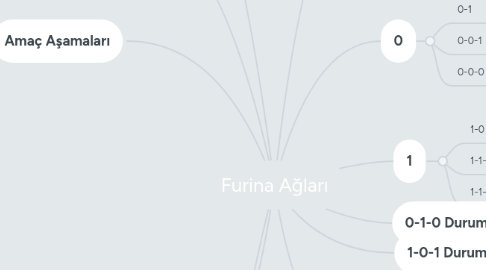 Mind Map: Furina Ağları