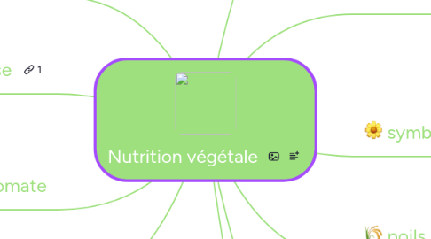 Mind Map: Nutrition végétale